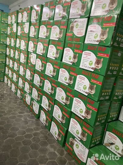 Клеевая ловушка