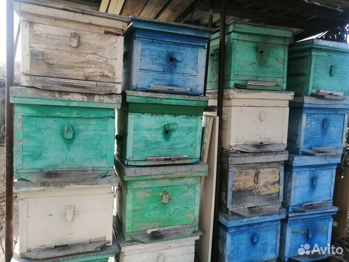 Продам ульи (додан)