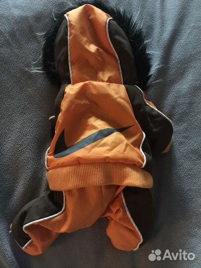 Комбинезон для йорка