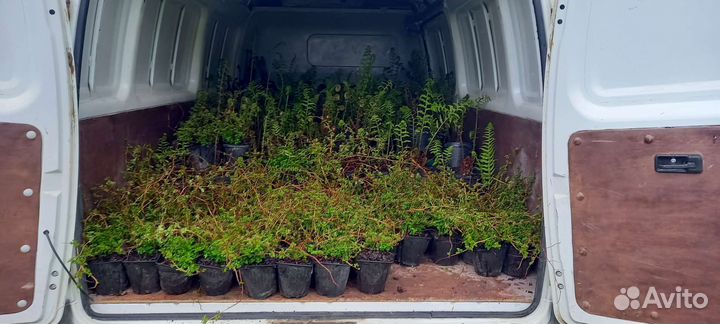 Грузоперевозки/ Доставка