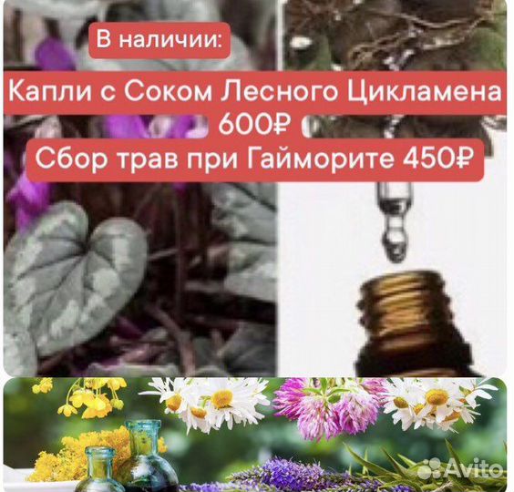 Сбор трав при Гайморите/Сборы трав