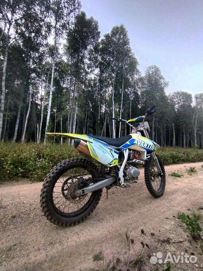 Эндуро Мотоцикл Avantis fx 250 basic