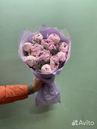 Пионы оптом