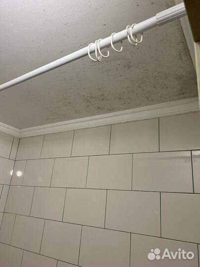 Уничтожение грибка, мха и черной плесени