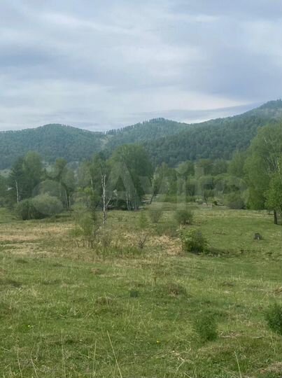 Участок 66 сот. (СНТ, ДНП)