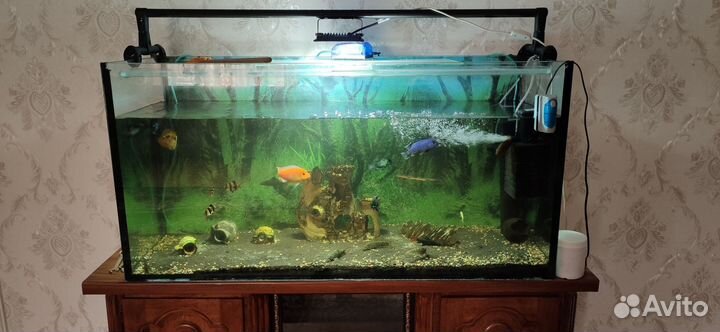 Аквариум