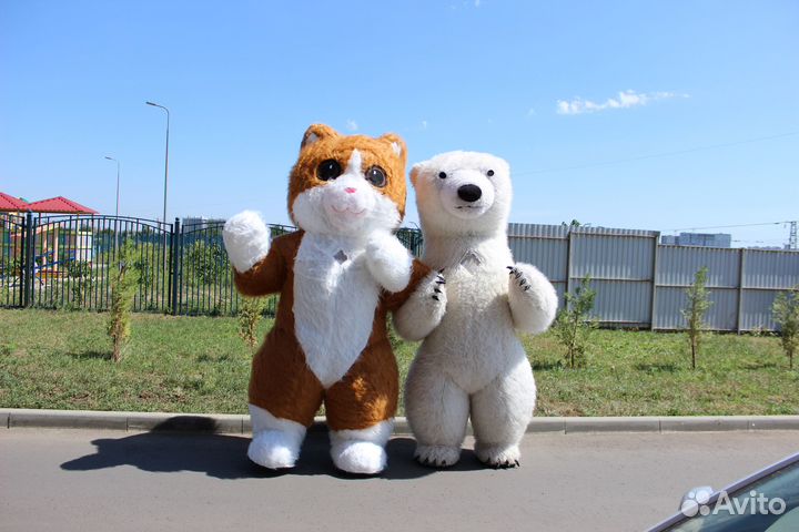 Большой белый мишка и кот. Поздравление с музыкой