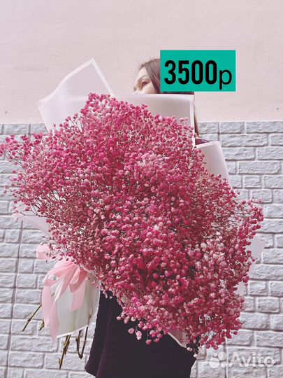 Радужная гипсофила