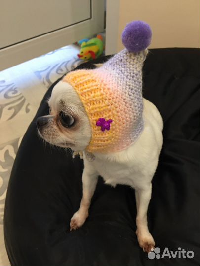 Шапочки для собак мелких пород