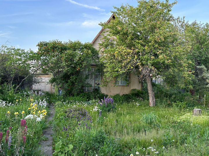 Дача 60 м² на участке 3,5 сот.