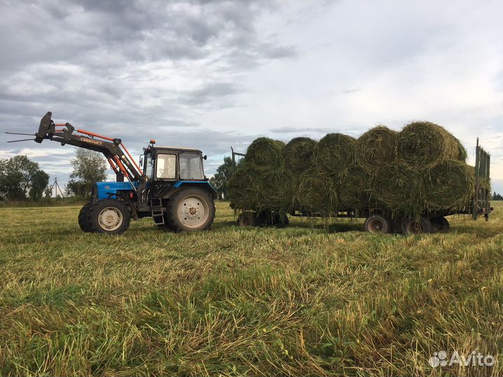 Сенаж зерносмеси в упаковке