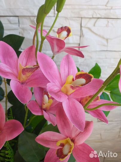 Орхидея букет