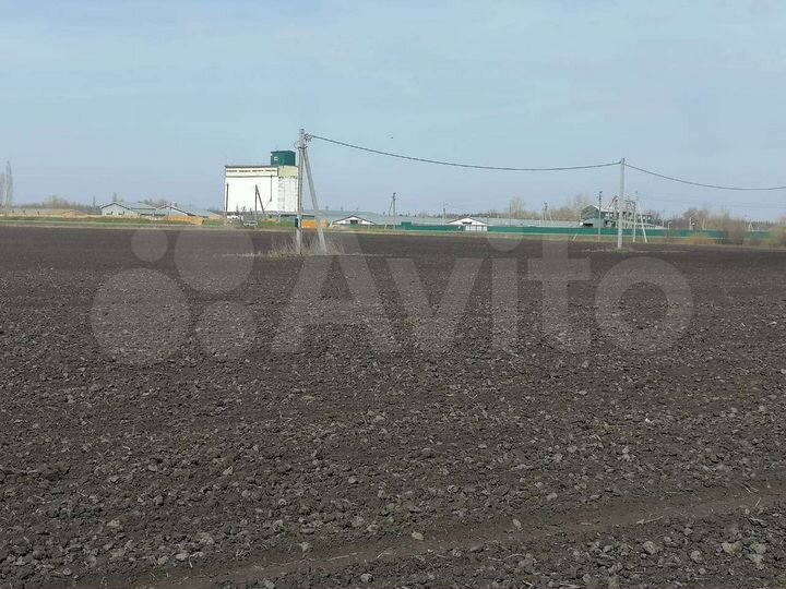 Участок 18 сот. (ИЖС)