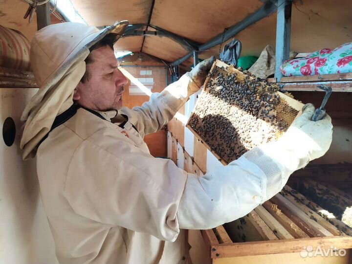 Мёд с личной пасеки 2023 года