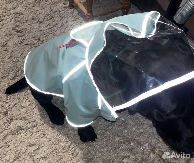 Дождевик для собаки