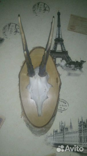 Натуральное панно 