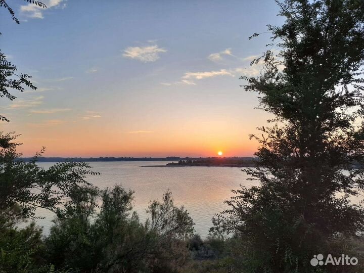 Черви для рыбалки