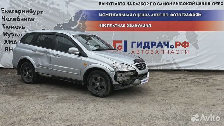 Проводка двери задней левой SsangYong Kyron (D200)