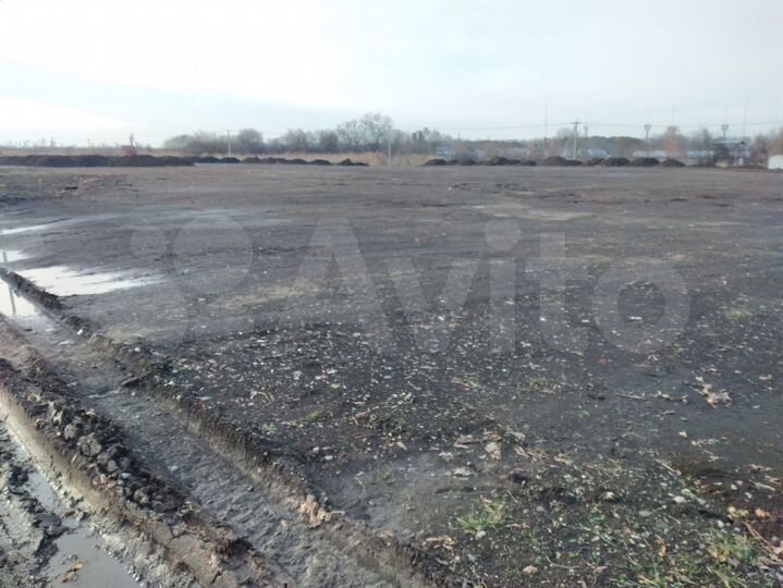 Участок 100 сот. (промназначения)