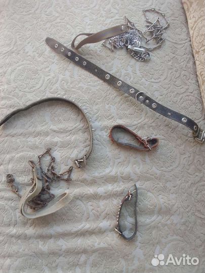 Ошейники для собак