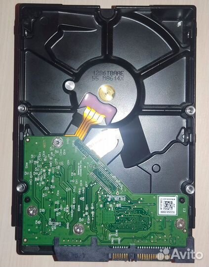 HDD 1 TB WD Blue