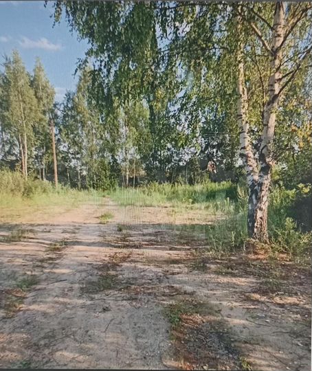 Участок 6 сот. (СНТ, ДНП)