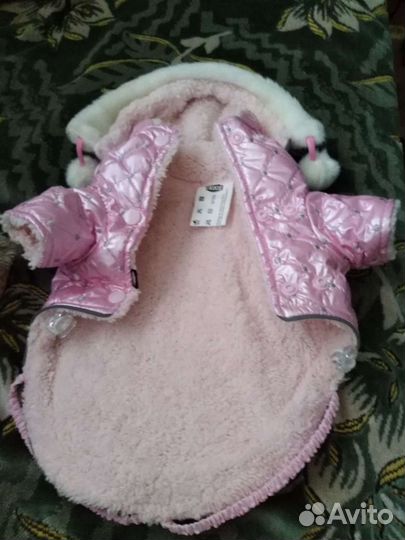 Курточка для чихуахуа