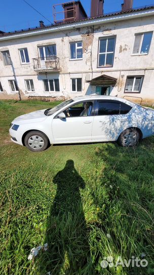 Skoda Octavia 1.6 МТ, 2018, 343 343 км