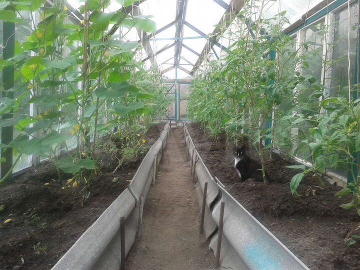 Дача 90 м² на участке 8 сот.