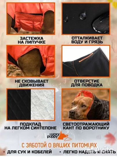 Комбинезон для собак новый