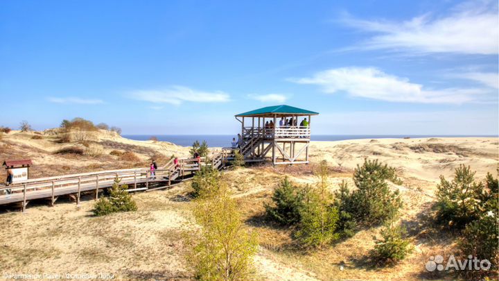 Куршская коса - автобусная экскурсия