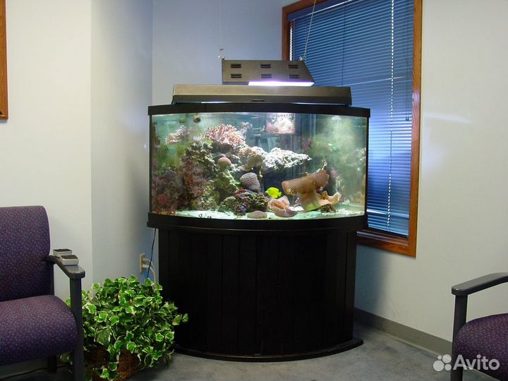 Чистка аквариума, изготовление, перевозка, монтаж