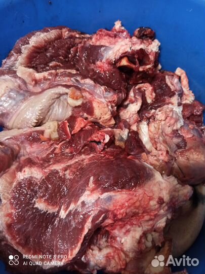 Субпродукты и мясо для собак