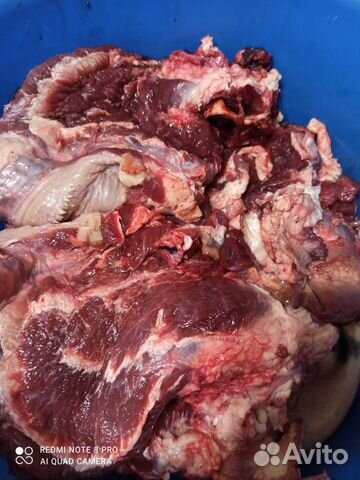 Субпродукты и мясо для собак