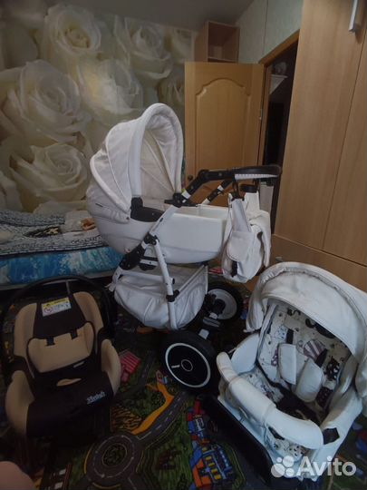 Коляска Adamex Champion 3 в 1