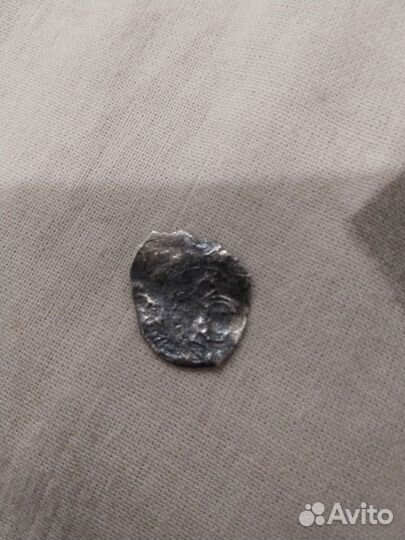 Монеты чешуя