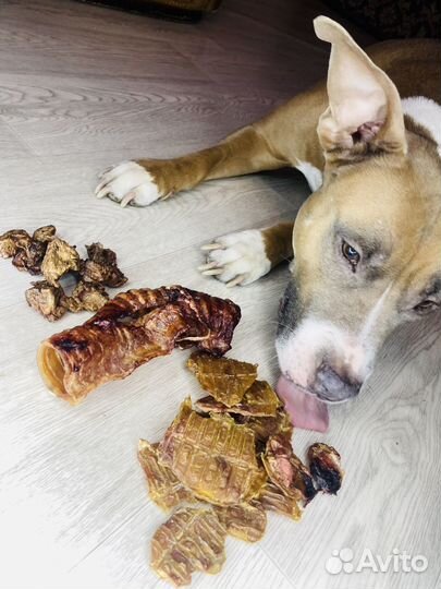 Лакомства для собак