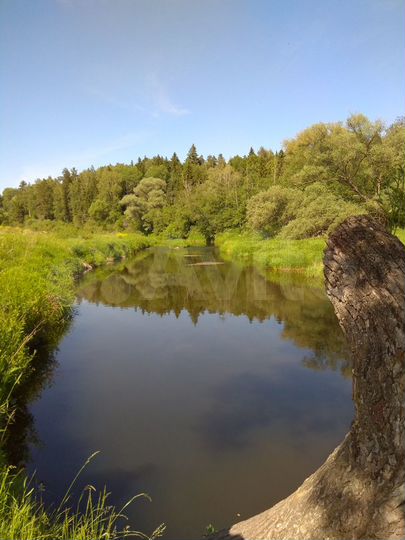 Участок 3 га (ИЖС)