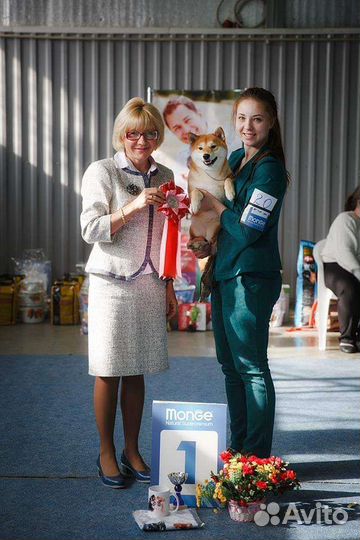 Услуги хендлера