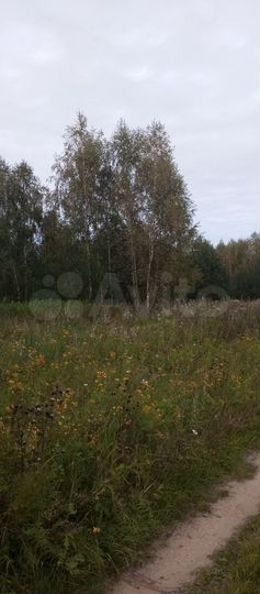 Участок 5,4 га (СНТ, ДНП)