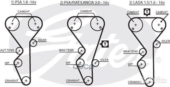 Комплект ремня грм PSA xsara/xantia/306/406 93