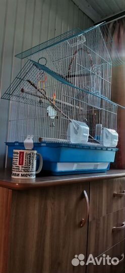 Клетка для мелких и средних попугаев