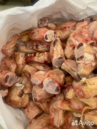 Кость говяжья сахарная 