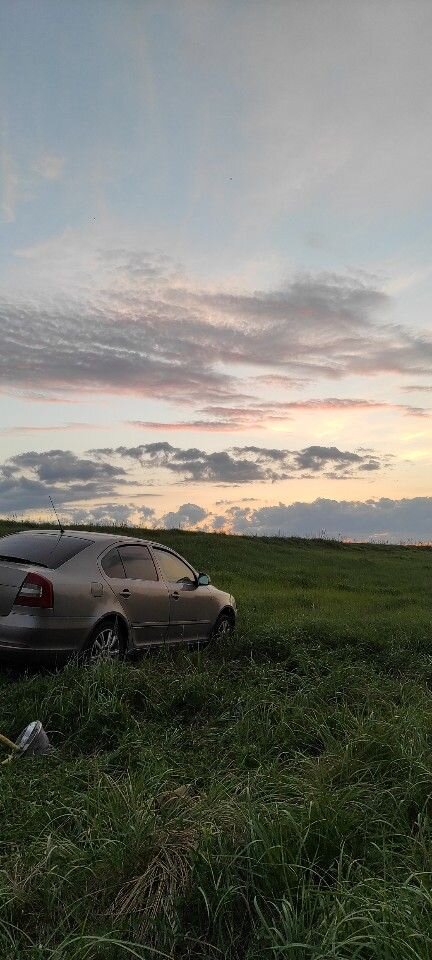 Skoda Octavia: фото владельца