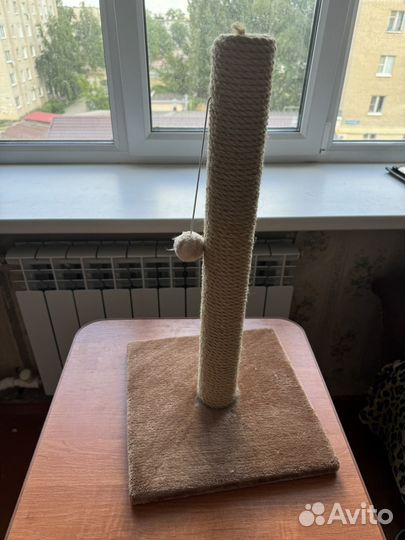 Когтеточка