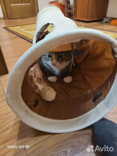 Тоннель для кошек