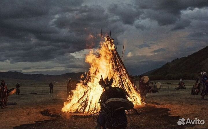 Чай пуэр Бодрость духа бдр8633