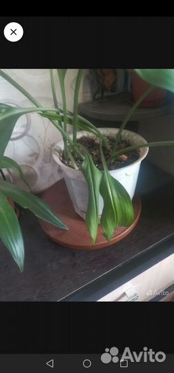 Подставка для ц в е т о в