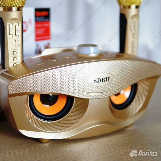 Колонка с микрофонами Blutooth SD-306 plus