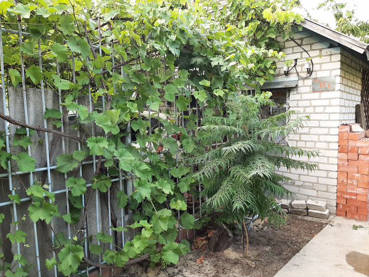 Дача 23 м² на участке 6 сот.